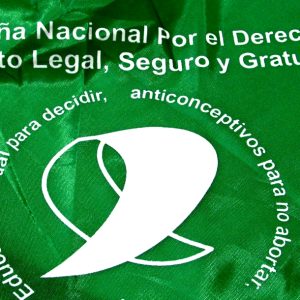 Nota Técnica Acesso ao Aborto Legal no Brasil